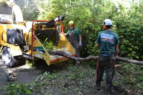 tree services Thorne Bay